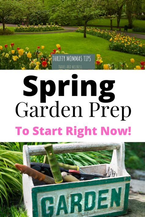 Spring Garden Prep: What You Need To Do To Get Ready To Grow.